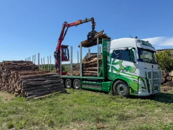 Aux commandes d'un Volvo FH16 780 : 57 tonnes de bois, 3 800 Nm de plaisir !
